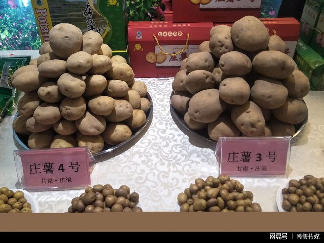 甘肃&ldquo;平凉金果&rdquo;北京新发地专场推介会今日在北京拉开帷幕