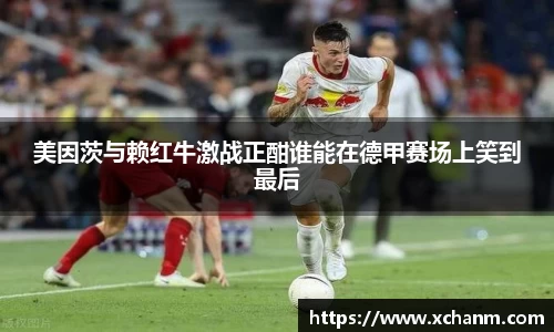 美因茨与赖红牛激战正酣谁能在德甲赛场上笑到最后