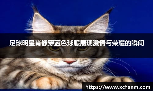 足球明星肖像穿蓝色球服展现激情与荣耀的瞬间